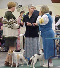 UKC SEMINAR & SHOWS ARE ABOUT DOGS! 
