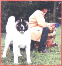 WATCHING THE AKC'S BACKTRAIL ON AKC & PAWS LEGISLATION