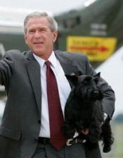 BARNEY, PRESIDENT BUSH'S SCOTTIE