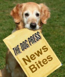THE DOG PRESS NEWS BITES