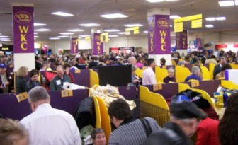 WESTMINSTER KENNEL CLUB DOG SHOW