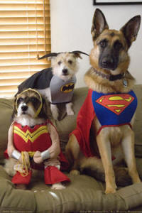DOGS IN HALLOWEEN COSTUMES