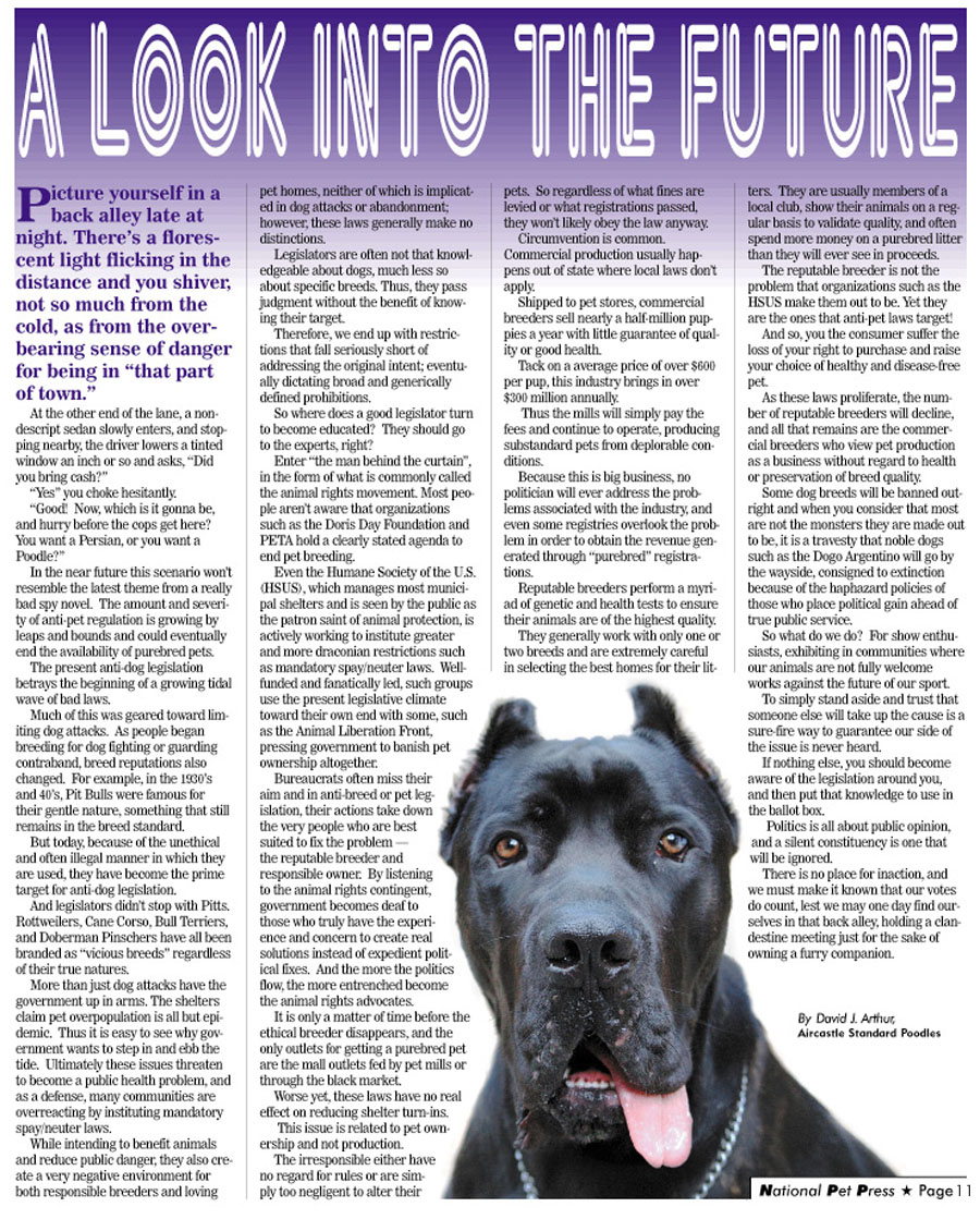 NPP - A Look Into The Future