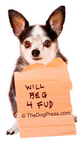 Your dog shouldn't have to beg for safe pet food, free of salmonella contamination and be made in America!