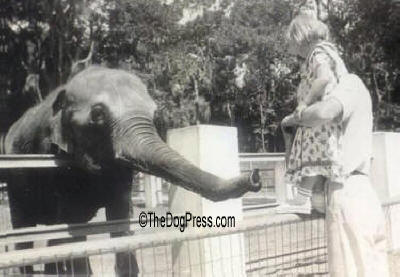 Miss Chick the baby elephant and Barbara-Jean were childhood friends
