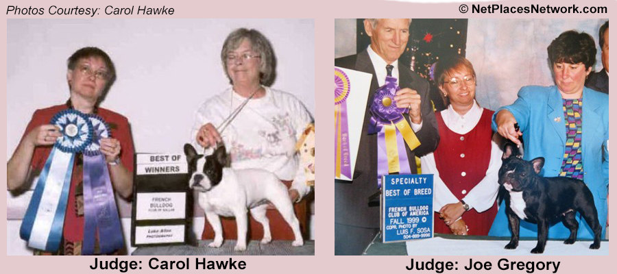 If there is no standard to hold to. No AKC standard for exhibitors, none for judges and none for the dogs. It truly is just "a game" and if that is so, then what is the point? Do AKC Champion titles count?
