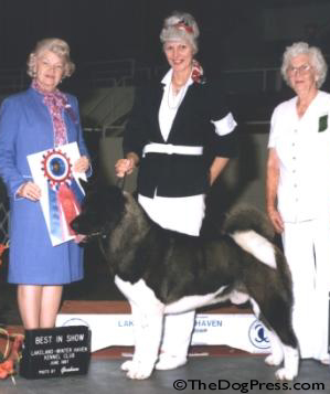 Best In Show judge Virginia Hamptom awards Andrews' Akita