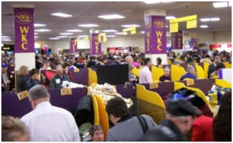 Westminster Kennel Club Dog Show