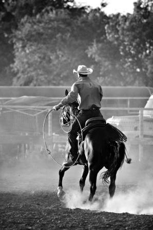 Frank Losey throws a wide loop at USDA & APHIS, reining in the HSUS plan to hobble hobby and show breeders