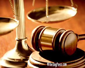 Legal action against animal seizure and animal rights