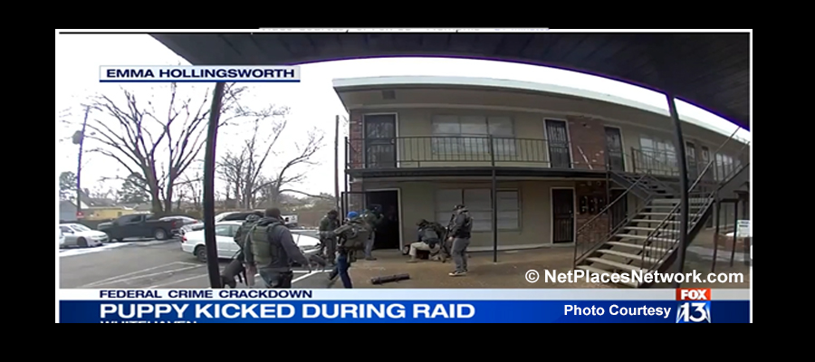 Be Kind To Animals And Humans: Don't add fire to the powder keg between the public and law enforcement!